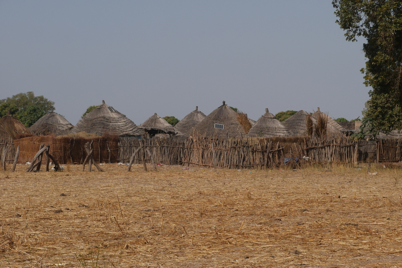 Rieten daken op lemen hutjes Rieten daken op lemen hutjes