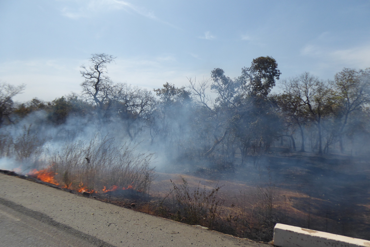Luchtvervuiling Luchtvervuiling