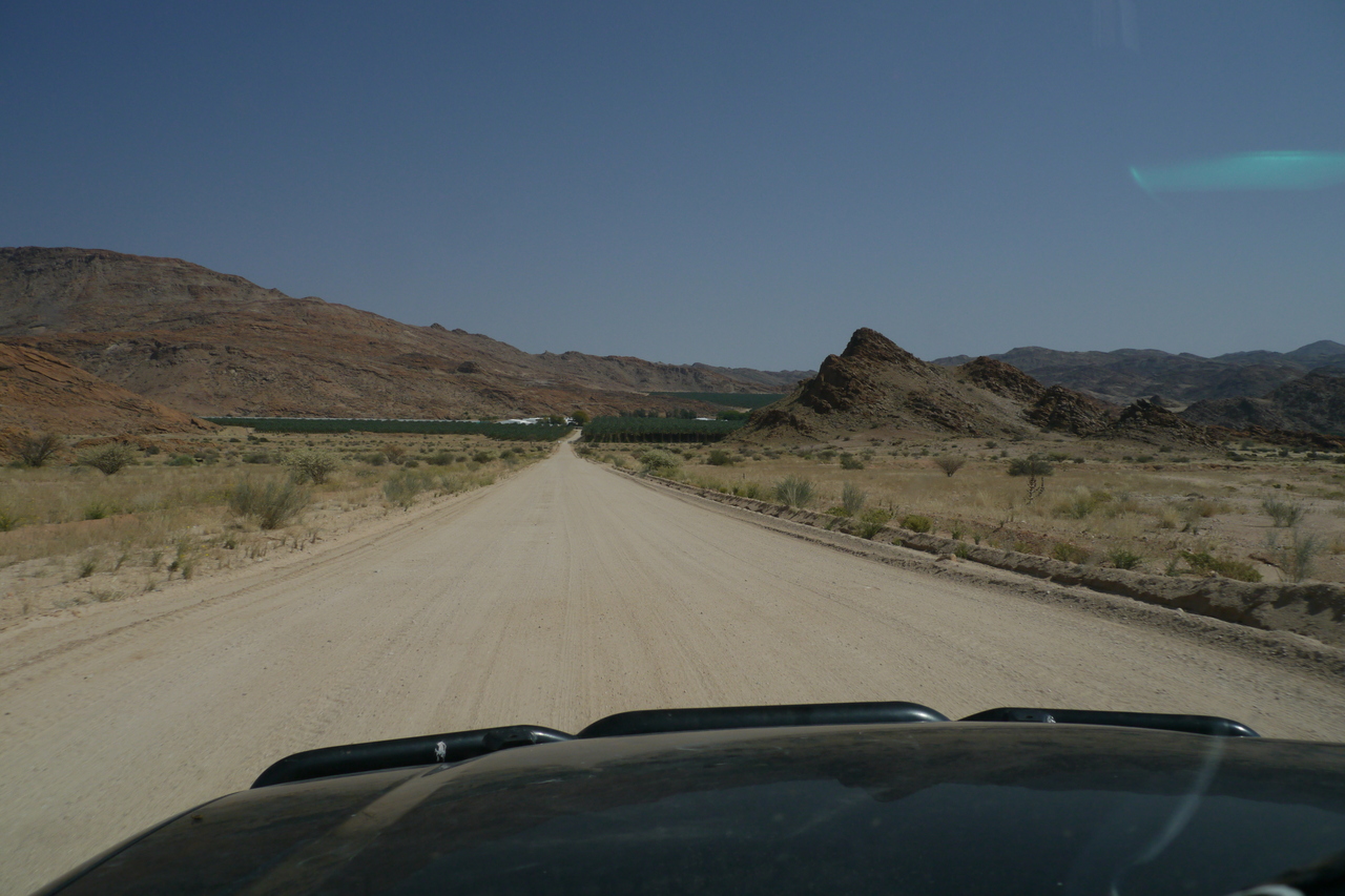 Dadelplantages op Klein Pella